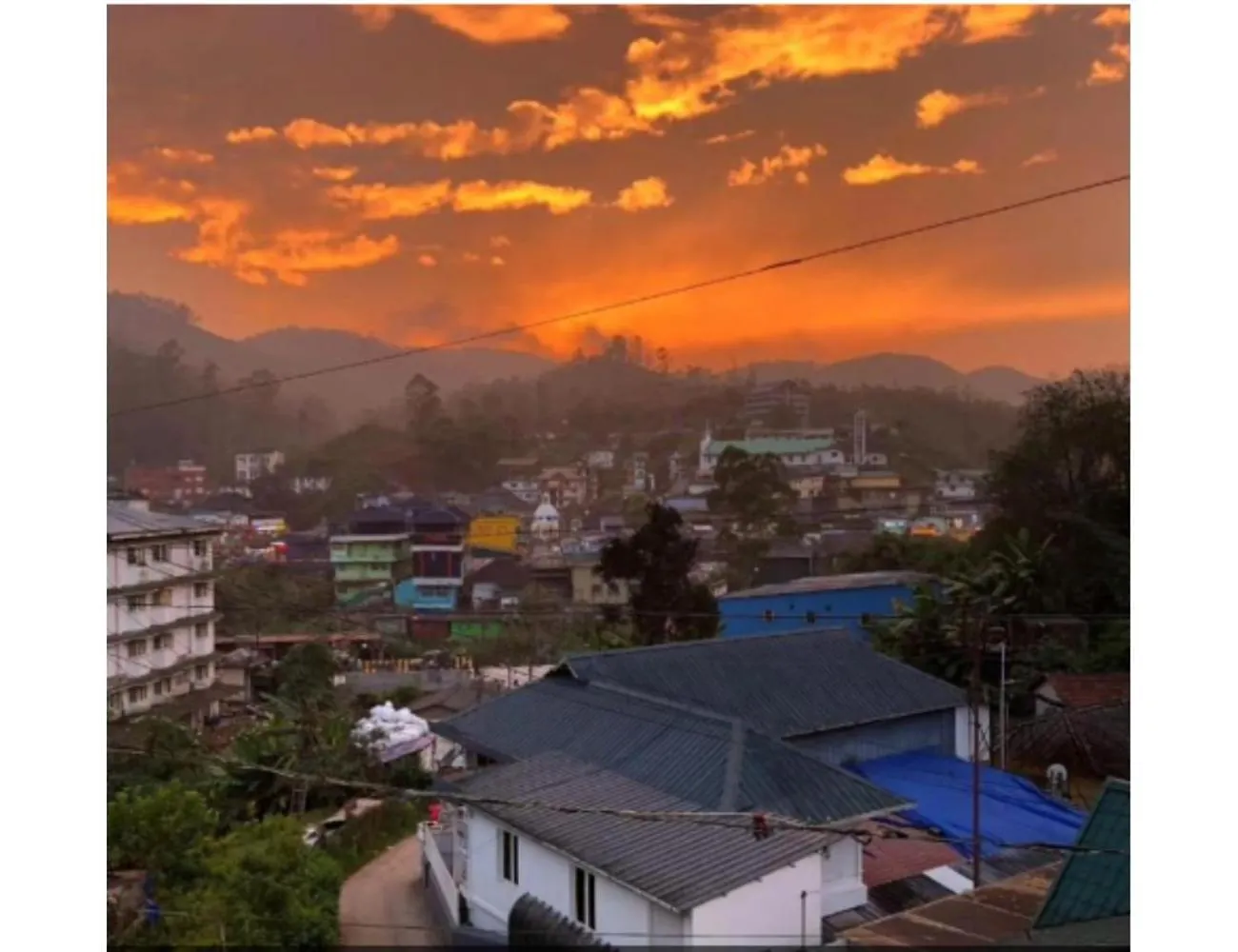Homestay Birdwing Cottage, Munnar India